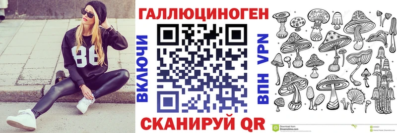 Галлюциногенные грибы Psilocybine cubensis  Купить  Бодайбо 